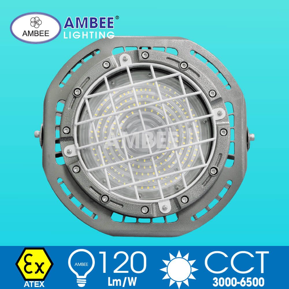 Explosion-proof Led Lamp F8236 100W