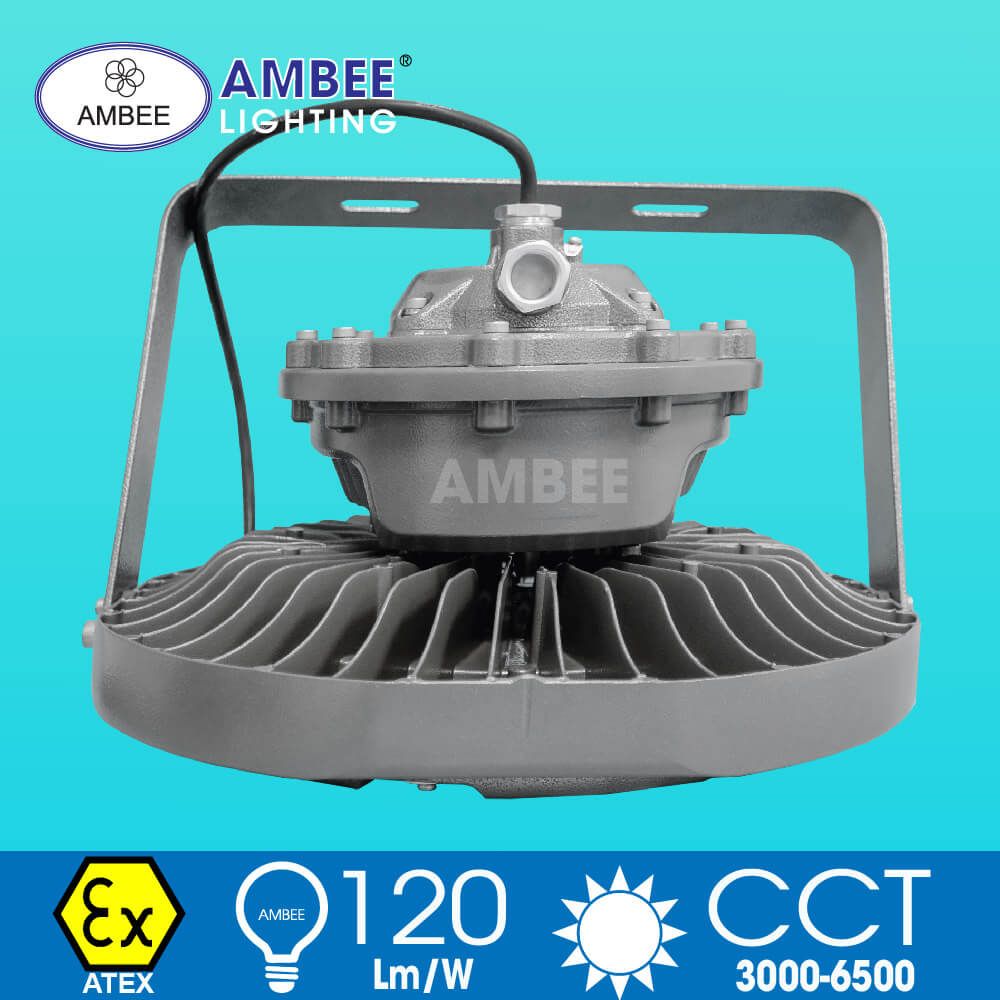 Explosion-proof Led Lamp F8236 80W