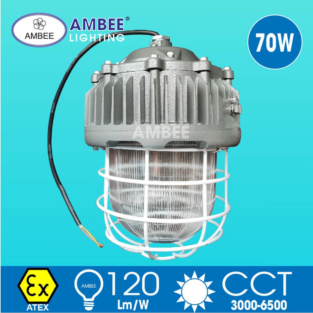 Explosion-proof Led Lamp F8238 70W