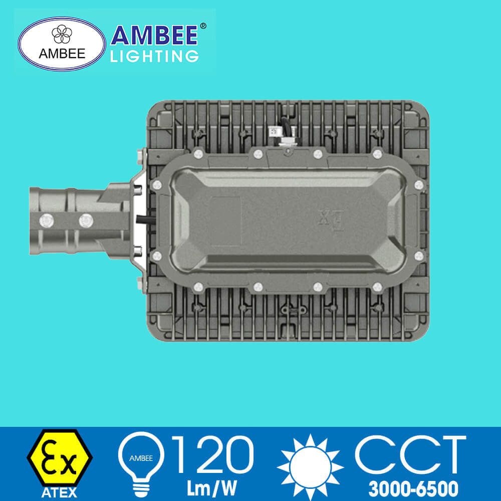 Explosion-proof Led Lamp F8269 100W