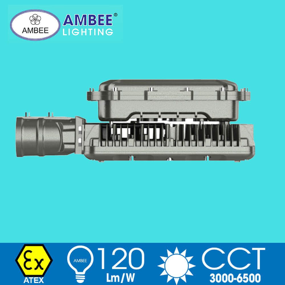 Explosion-proof Led Lamp F8269 100W