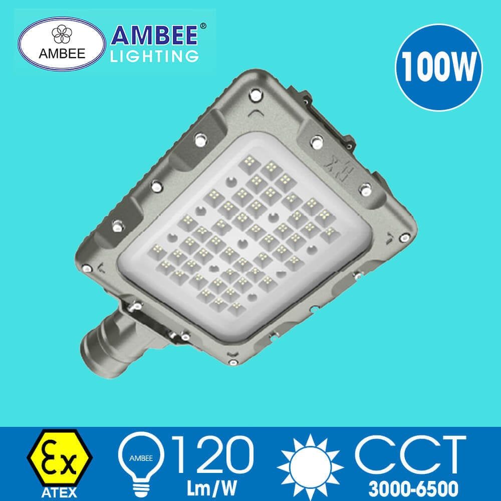 Explosion-proof Led Lamp F8269 100W