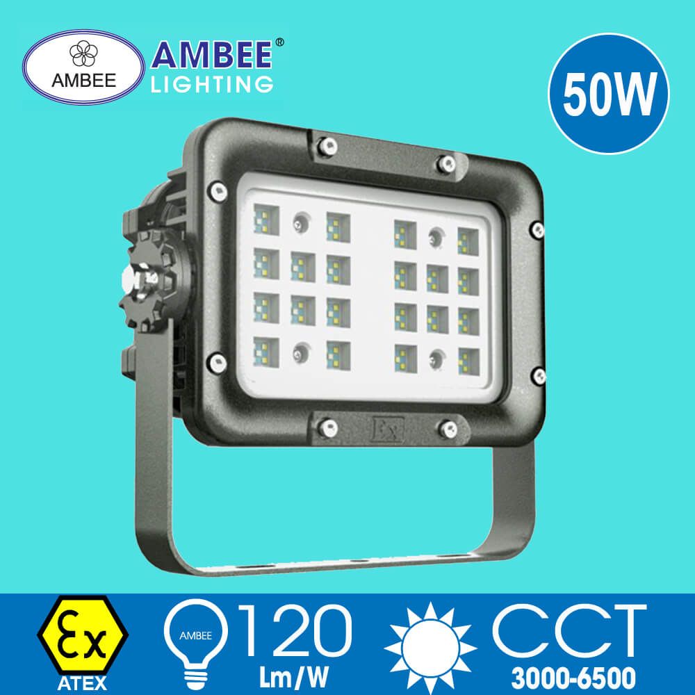 Explosion-proof Led Lamp F8260 50W