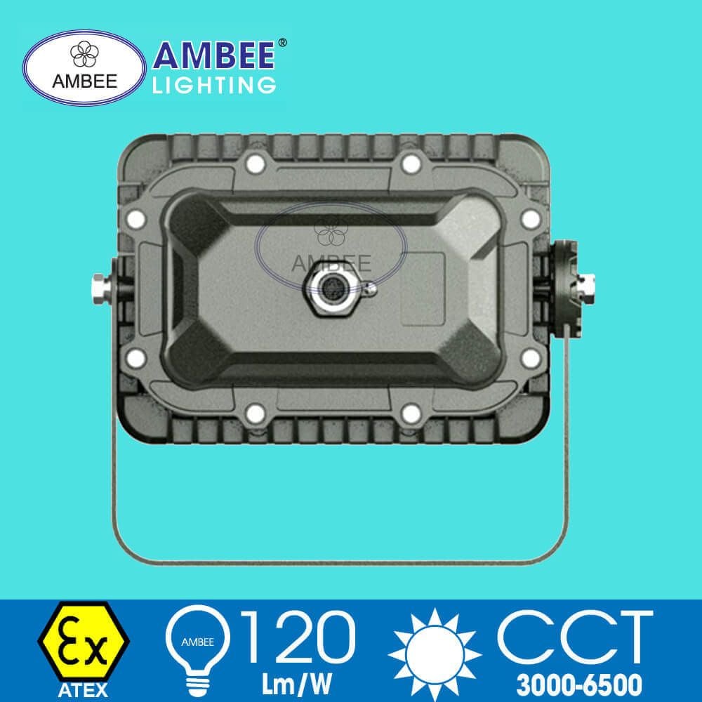 Explosion-proof Led Lamp F8260 50W