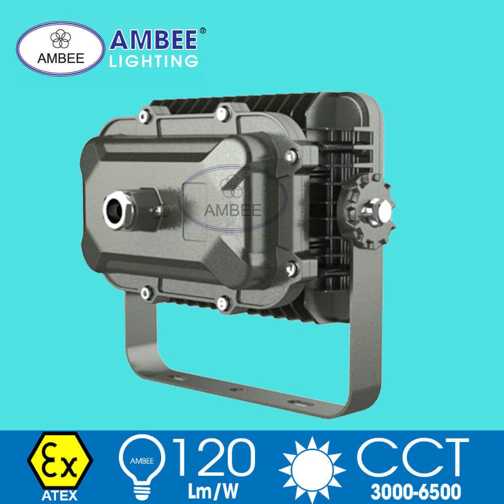 Explosion-proof Led Lamp F8260 50W