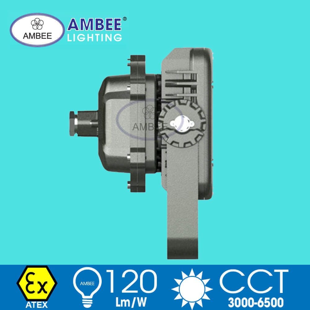 Explosion-proof Led Lamp F8260 50W