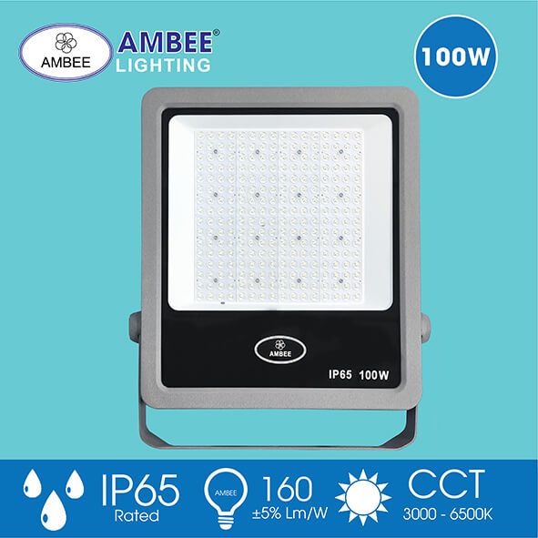Đèn Led Pha TD01 100W
