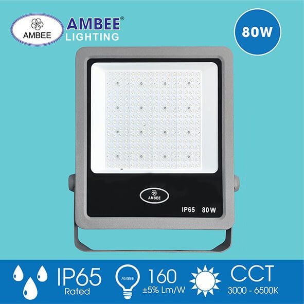 Đèn Led Pha TD01 80W