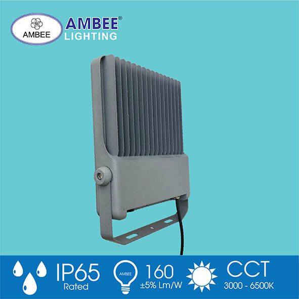 Đèn Led Pha TD01 100W