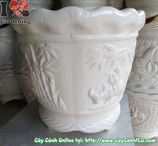 Cây Chậu Ba Chân Men Trắng – Ý Nghĩa & Mua Bán Sỉ Lẻ Giá Tốt Tại TP.HCM