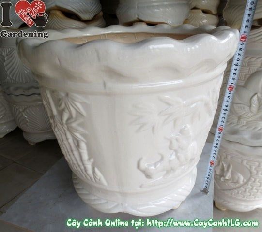 Cây Chậu Ba Chân Men Trắng – Ý Nghĩa & Mua Bán Sỉ Lẻ Giá Tốt Tại TP.HCM