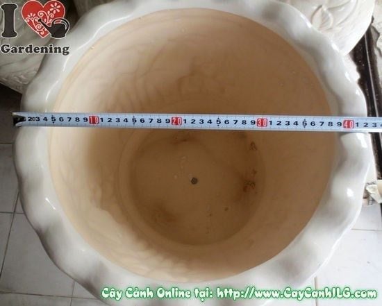 Cây Chậu Ba Chân Men Trắng – Ý Nghĩa & Mua Bán Sỉ Lẻ Giá Tốt Tại TP.HCM