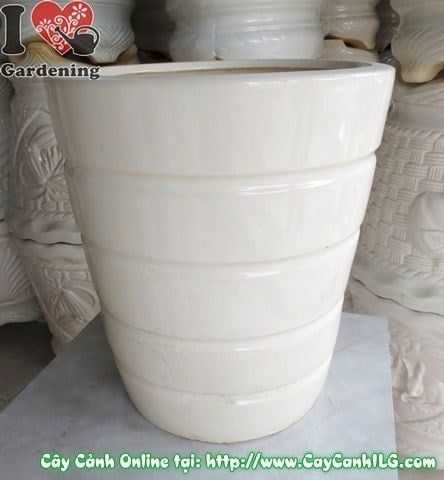 Chậu Giỏ Men Trắng – Ý Nghĩa, Cách Bảo Quản & Mua Bán Sỉ Lẻ Giá Tốt Tại TP.HCM