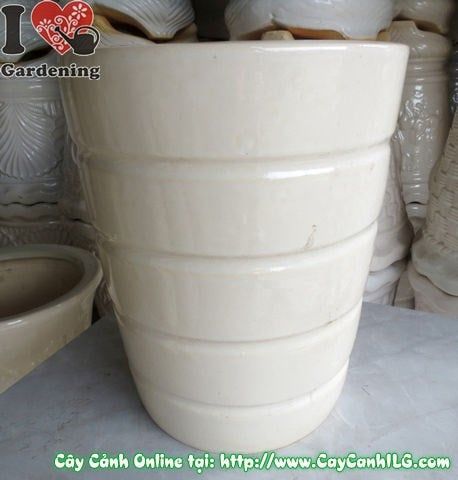 Chậu Giỏ Men Trắng – Ý Nghĩa, Cách Bảo Quản & Mua Bán Sỉ Lẻ Giá Tốt Tại TP.HCM