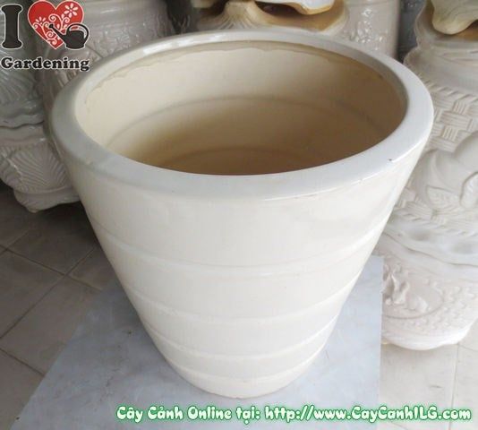 Chậu Giỏ Men Trắng – Ý Nghĩa, Cách Bảo Quản & Mua Bán Sỉ Lẻ Giá Tốt Tại TP.HCM