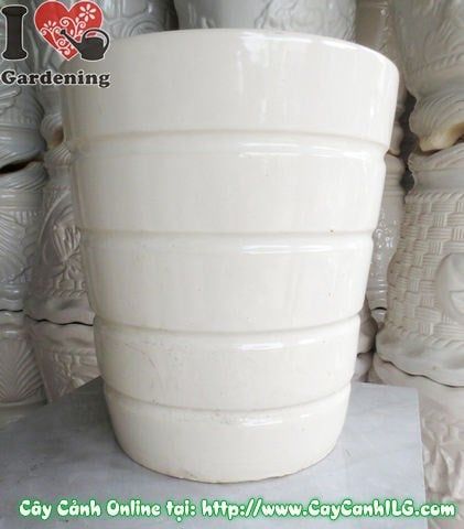 Chậu Giỏ Men Trắng – Ý Nghĩa, Cách Bảo Quản & Mua Bán Sỉ Lẻ Giá Tốt Tại TP.HCM