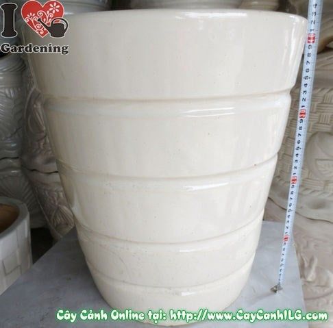 Chậu Giỏ Men Trắng – Ý Nghĩa, Cách Bảo Quản & Mua Bán Sỉ Lẻ Giá Tốt Tại TP.HCM