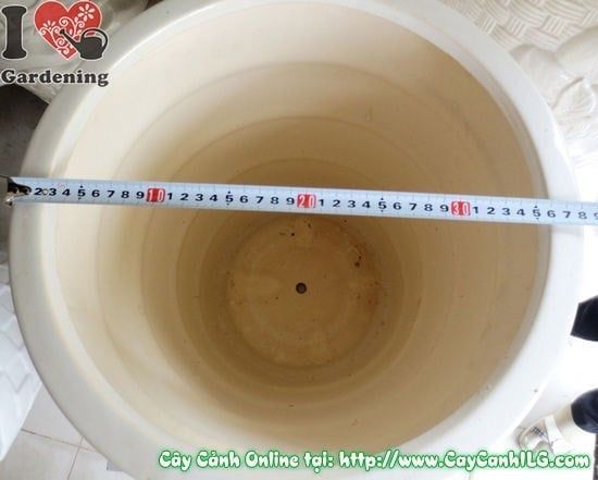 Chậu Giỏ Men Trắng – Ý Nghĩa, Cách Bảo Quản & Mua Bán Sỉ Lẻ Giá Tốt Tại TP.HCM