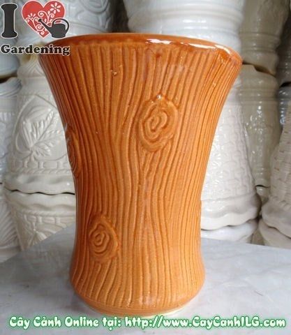 Cây Chậu Trúc Men Nâu – Ý Nghĩa & Mua Bán Sỉ Lẻ Giá Tốt Tại TP.HCM
