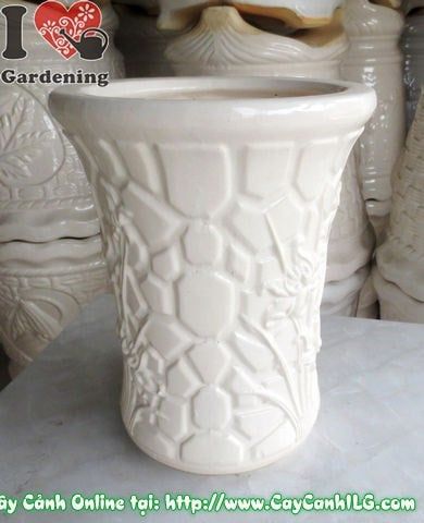 Cây Chậu Trúc Men Trắng – Ý Nghĩa & Mua Bán Sỉ Lẻ Giá Tốt Tại TP.HCM