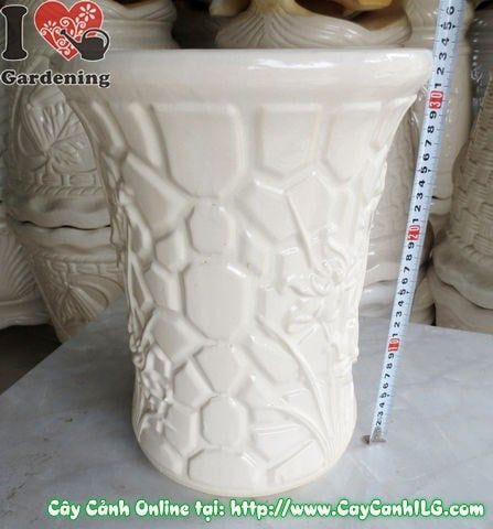 Cây Chậu Trúc Men Trắng – Ý Nghĩa & Mua Bán Sỉ Lẻ Giá Tốt Tại TP.HCM