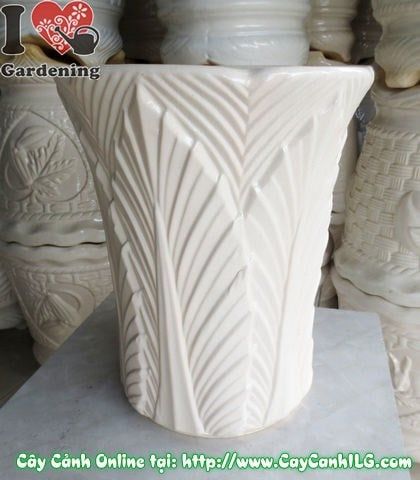Cây Chậu Trúc Men Trắng – Ý Nghĩa & Mua Bán Sỉ Lẻ Giá Tốt Tại TP.HCM