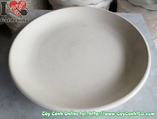Cây Dĩa Lót Men Trắng – Ý Nghĩa, Cách Bảo Quản & Mua Bán Sỉ Lẻ Giá Tốt Tại TP.HCM