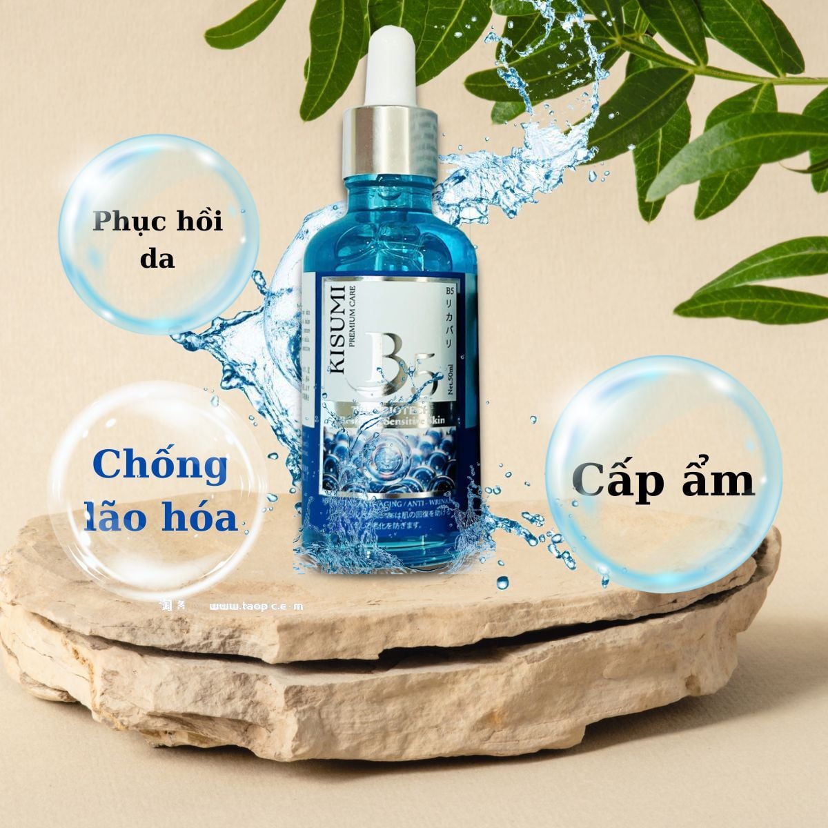  B5 PREMIUM KISUMI TRUEBIOTIC - V109 