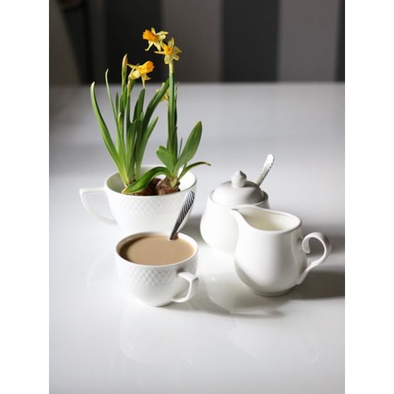 Bộ 6 tách + dĩa lót Julia - Wilmax England