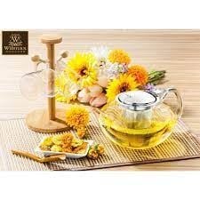 Bình lọc trà thủy tinh Wilmax 1.1L