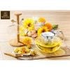 Bình lọc trà thủy tinh Wilmax 1.1L