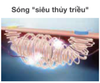  Mẫu hoa văn cửa tầng 05 