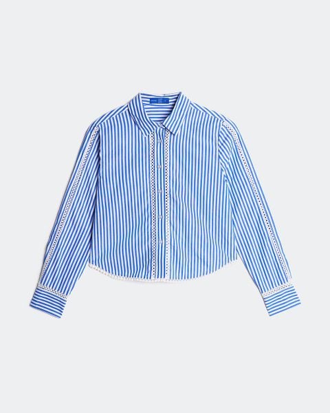 Áo Lace Shirt - Standard Blue Stripe