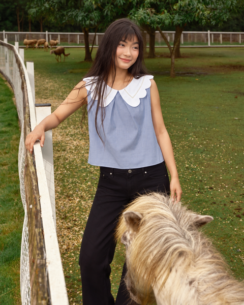 Áo Grace Blouse - Embroidered Lace Collar in Blue Navy Pinstripe