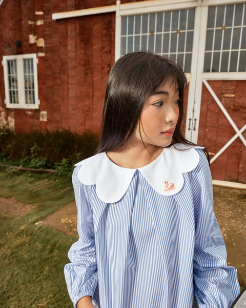Áo Swan Blouse - Light Blue Stripe
