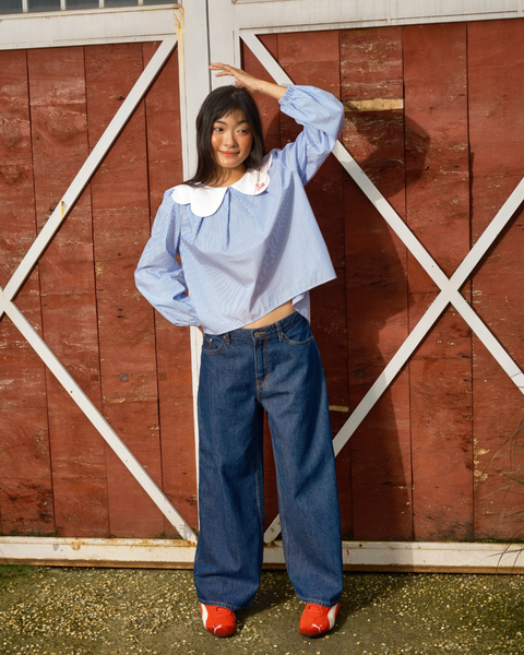 Áo Swan Blouse - Light Blue Stripe