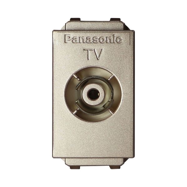 Ổ cắm anten TiVi Panasonic WEV2501 Ánh Kim