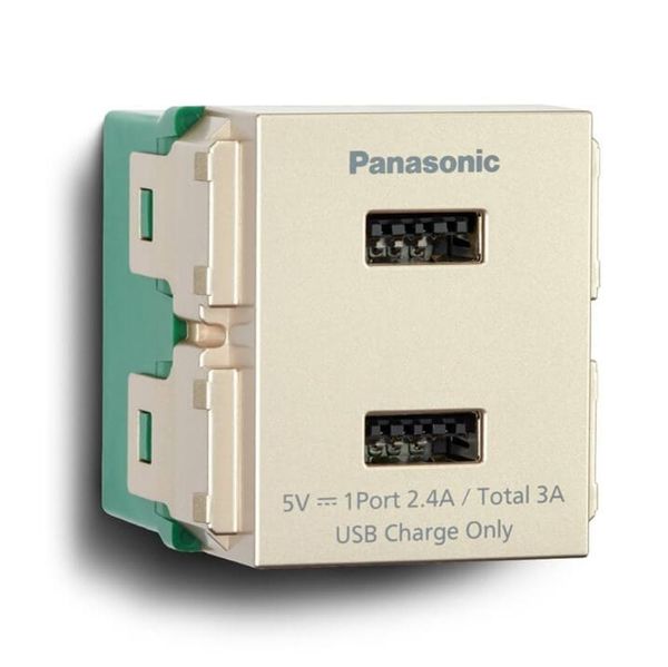 Ổ cắm sạc USB 2 cổng Panasonic WEF11821 màu Ánh Kim (dòng MY)