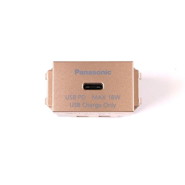 Ổ cắm USB Panasonic WEF412417 Type-C PD 18W