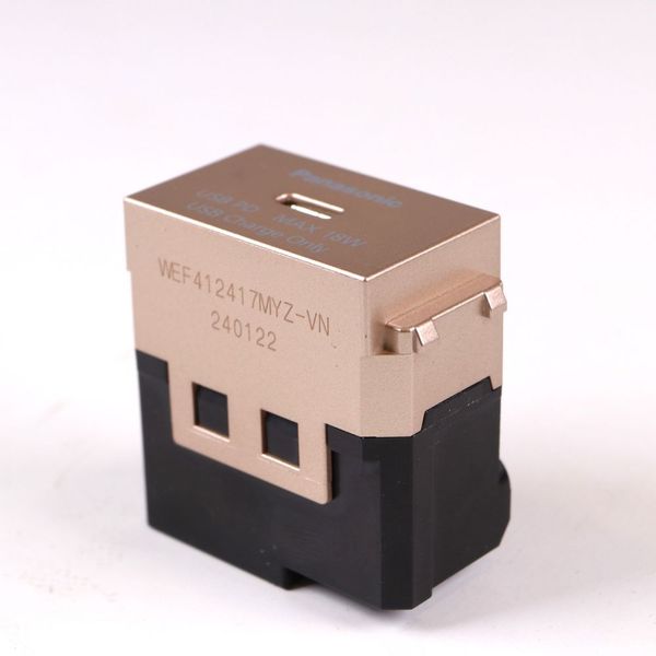 Ổ cắm USB Panasonic WEF412417 Type-C PD 18W