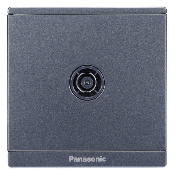 Bộ ổ cắm TV Full Color Panasonic WMF301 Ánh Kim