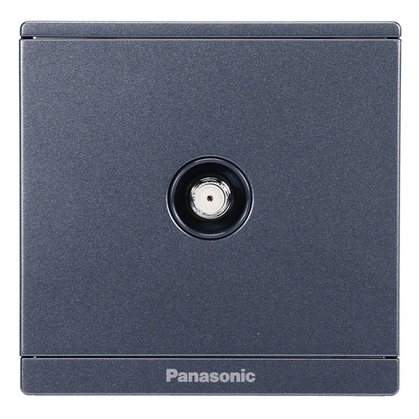 Bộ ổ cắm CATV Full Color Panasonic WMF311 Ánh Kim