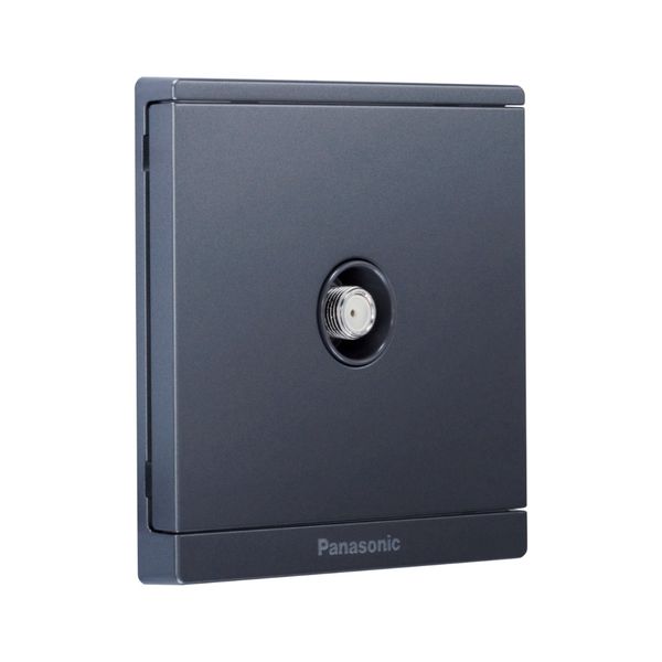 Bộ ổ cắm CATV Full Color Panasonic WMF311 Ánh Kim