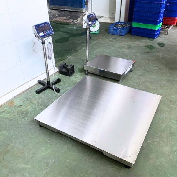 Cân sàn inox chống nước | Giải pháp cân bền bỉ cho môi trường ẩm | PC3 ...
