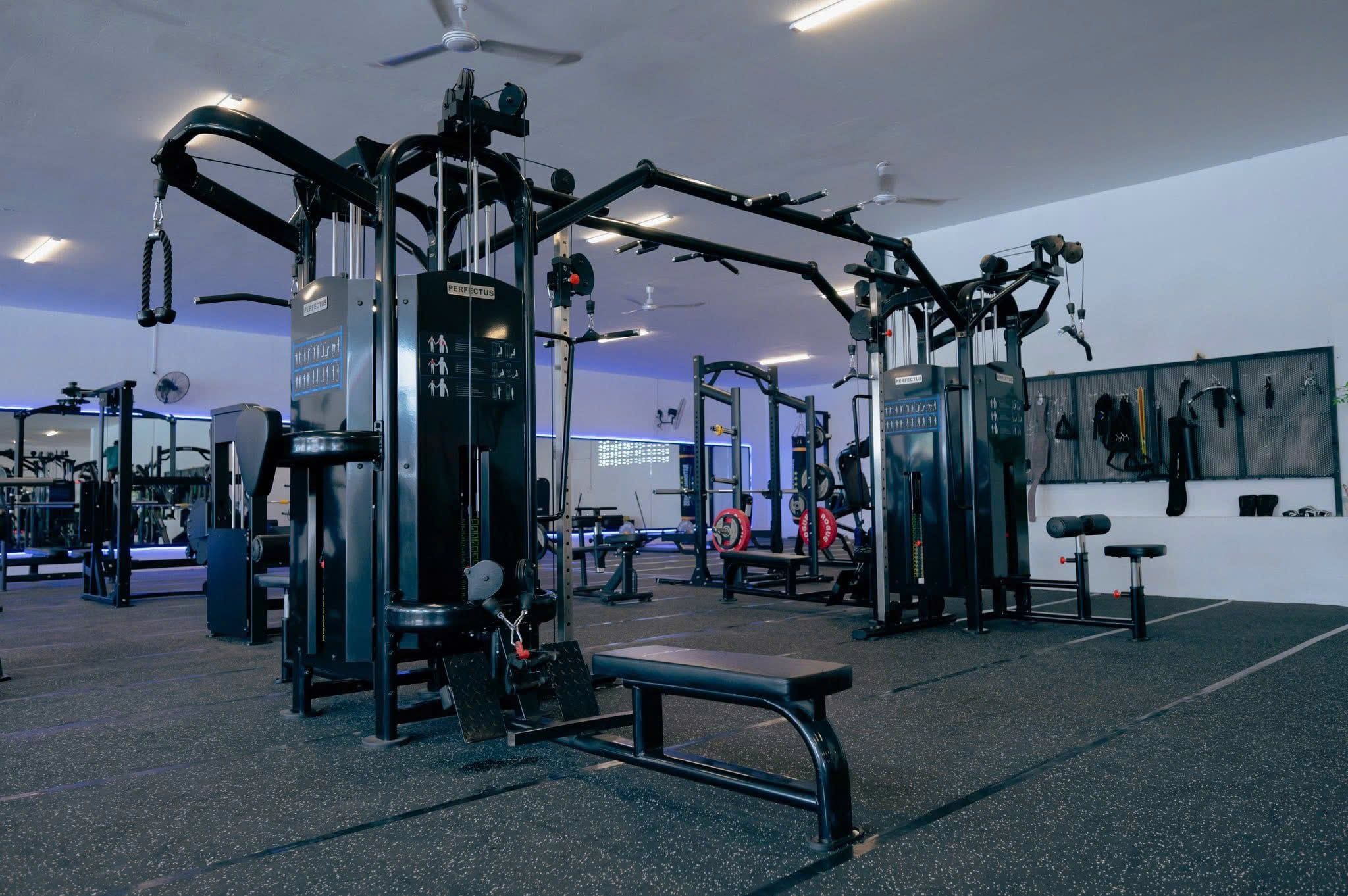 DÀN ĐA NĂNG 8 MẶT PERFECT US-050BHS