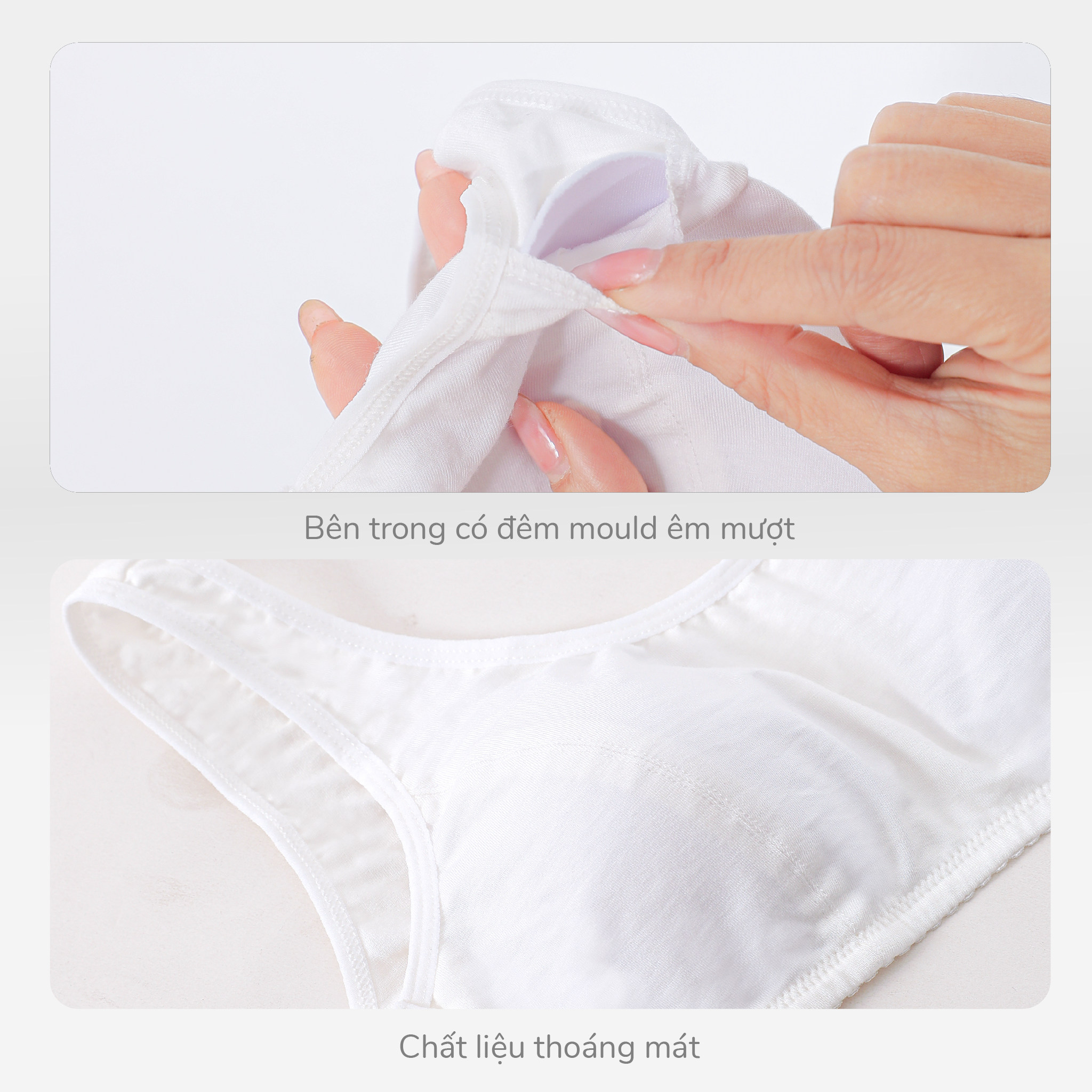 Áo lá học sinh - cotton compact mỏng nhẹ 209p 8888
