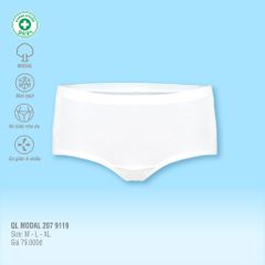 Quần lót nữ modal 207p 9119