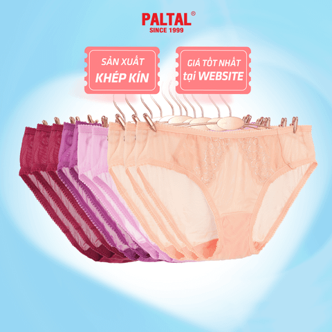 Combo 02-06-10 quần lót nữ voal lưới 077p 7475