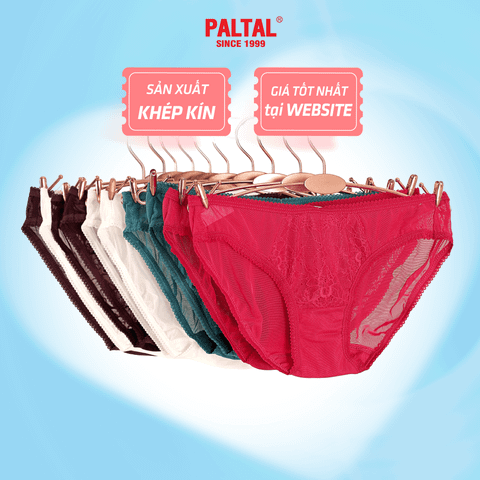 Combo 02-06-10 quần lót nữ voal lưới 077p 7495