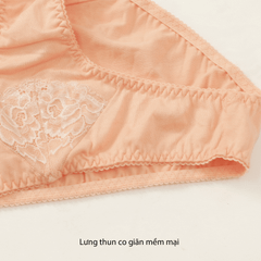Combo 02-06-10 quần lót nữ chất cotton siêu mát 027p 7473